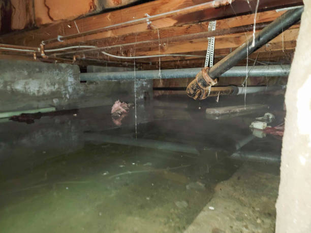 Best 24-hour water damage restoration  in Woodbury Center, CT