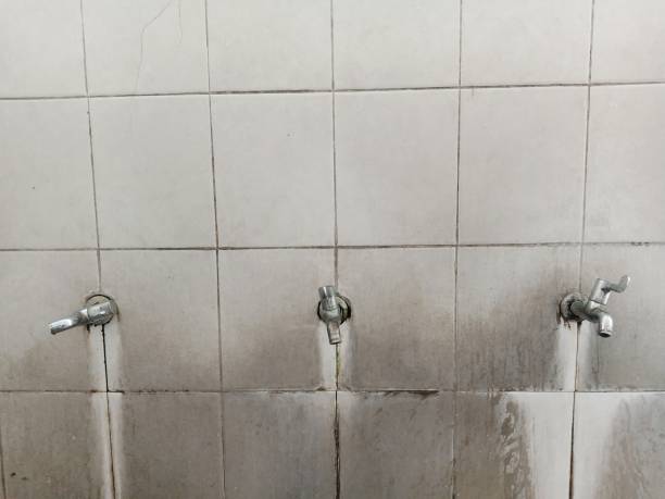 Best Water damage repair service  in Woodbury Center, CT