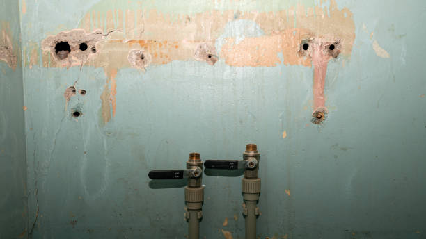 Best Flood damage cleanup  in Woodbury Center, CT