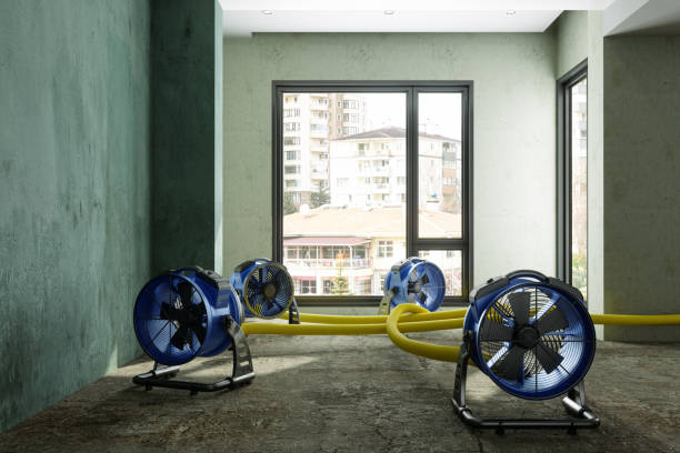 Best Water damage contractors near me  in Woodbury Center, CT