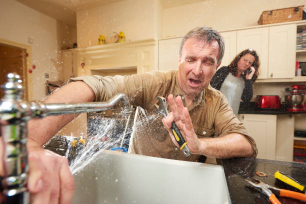 Best Professional water damage repair  in Woodbury Center, CT